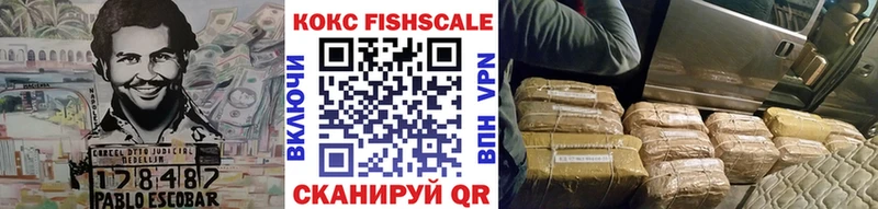 Cocaine FishScale  купить  сайты  Хадыженск 