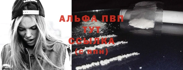соль ск Белокуриха