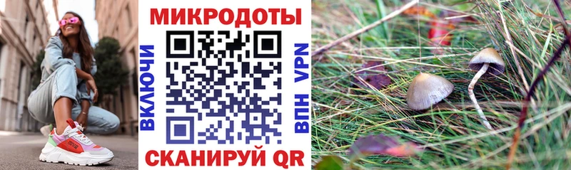 Галлюциногенные грибы Psilocybe  кракен ТОР  Хадыженск  купить закладку 